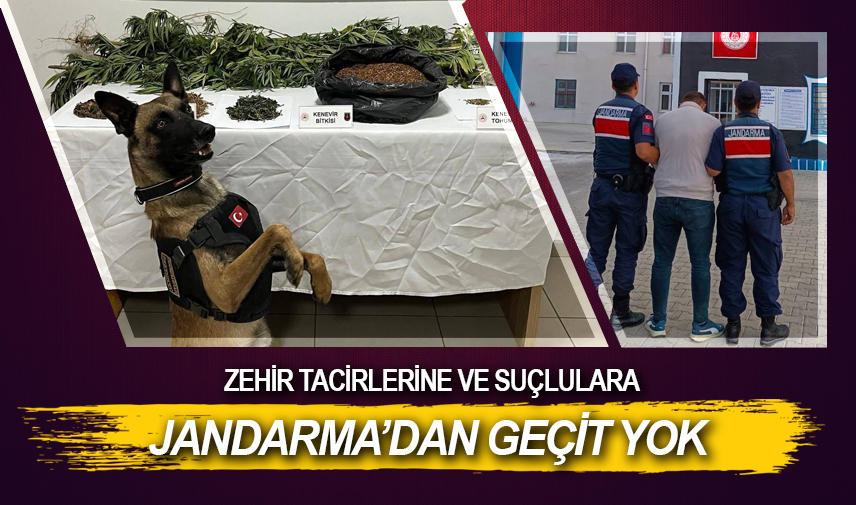 Zehir tacirlerine ve suçlulara Jandarma’dan geçit yok